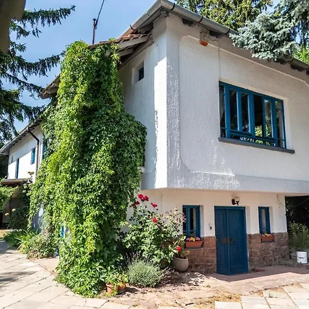 Liget Vendeghaz * Ревфюлёп