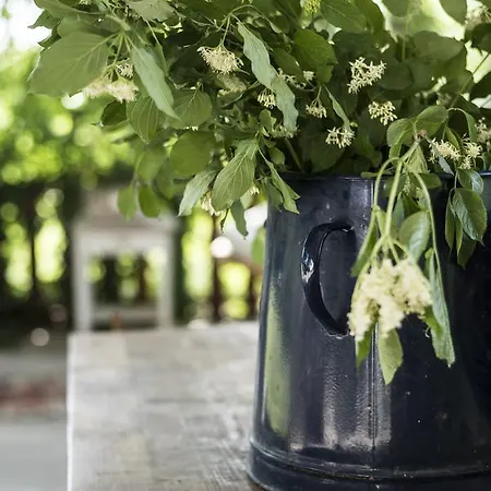 Liget Vendeghaz * Ревфюлёп