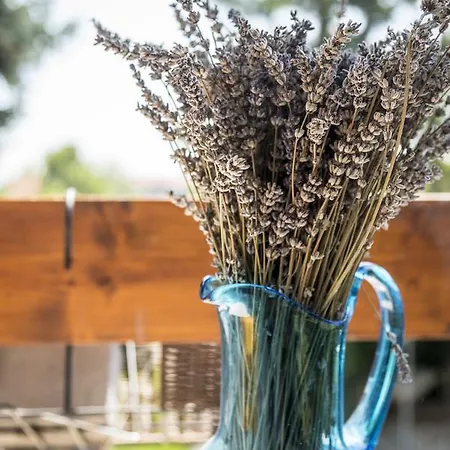 Liget Vendeghaz Гостевой дом *