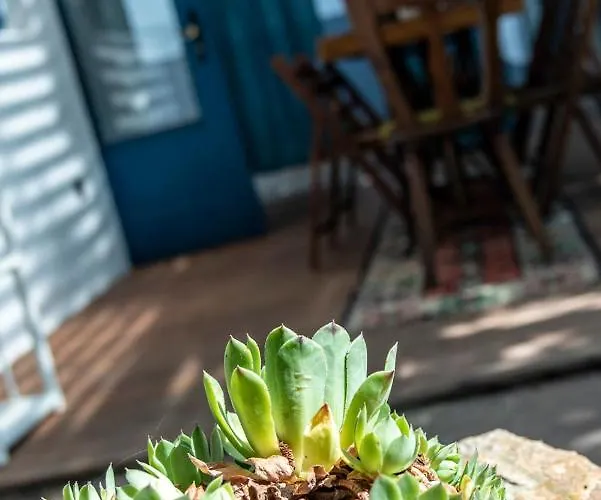 Guest house Liget Vendeghaz