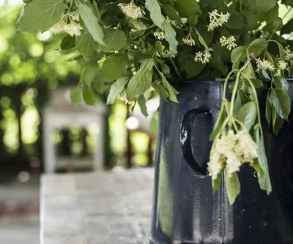 Liget Vendeghaz * Révfülöp