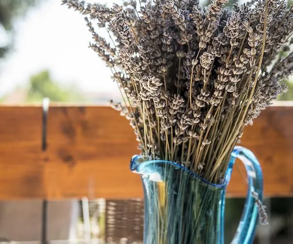 Liget Vendeghaz Gasthof *